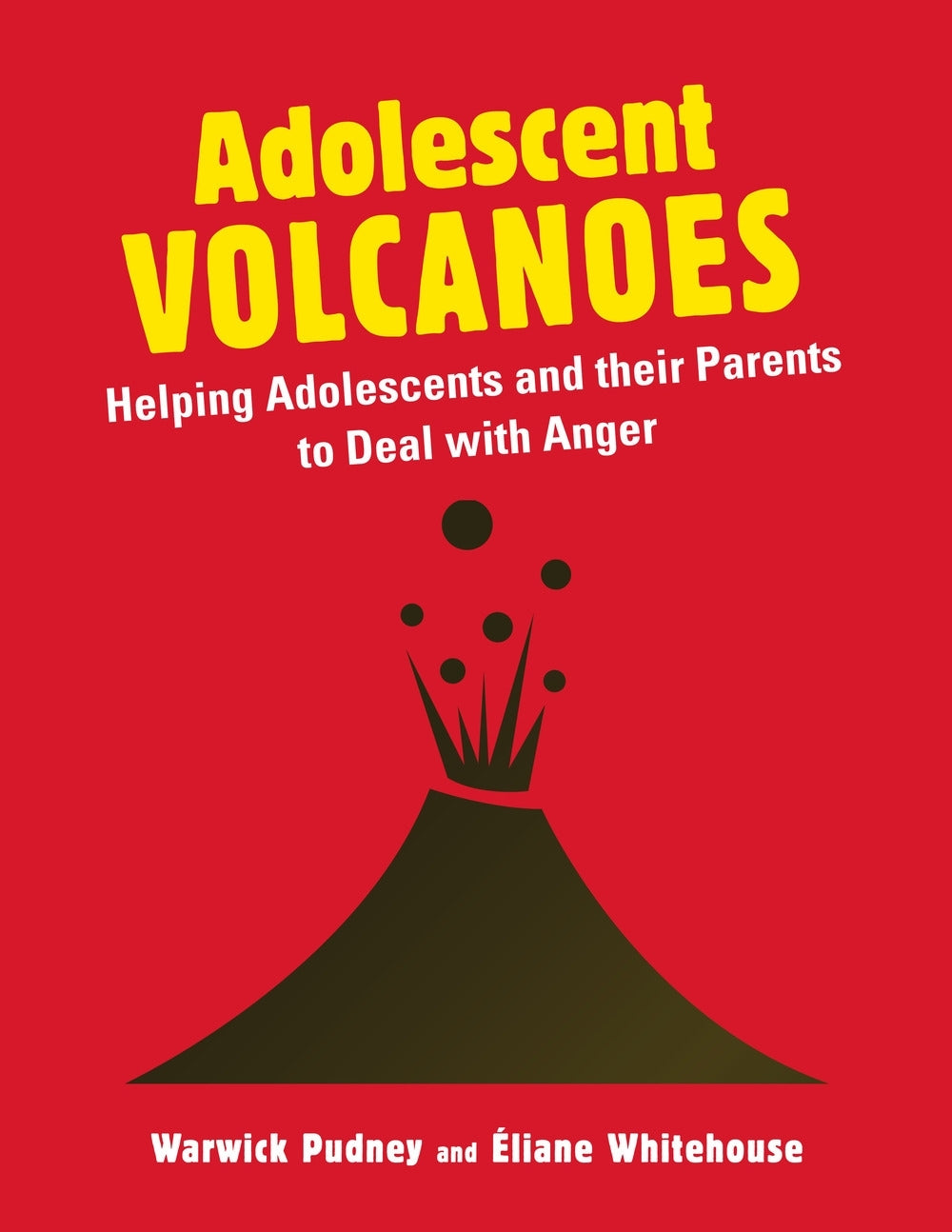 Adolescent Volcanoes by Warwick Pudney, Max Abbott