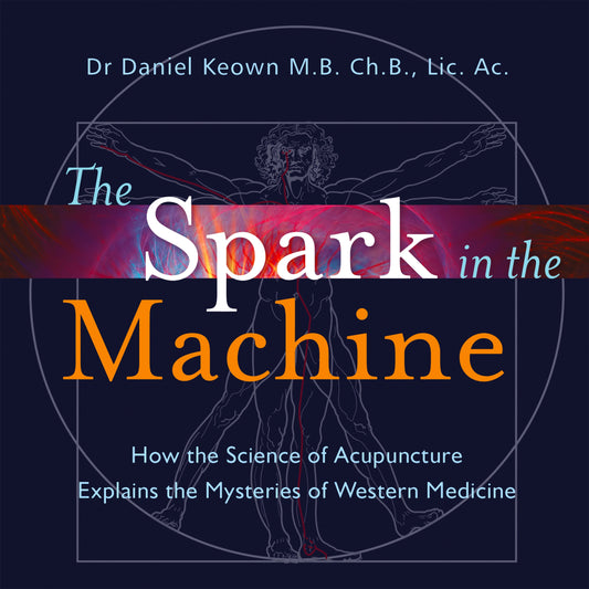 The Spark in the Machine by Daniel Keown