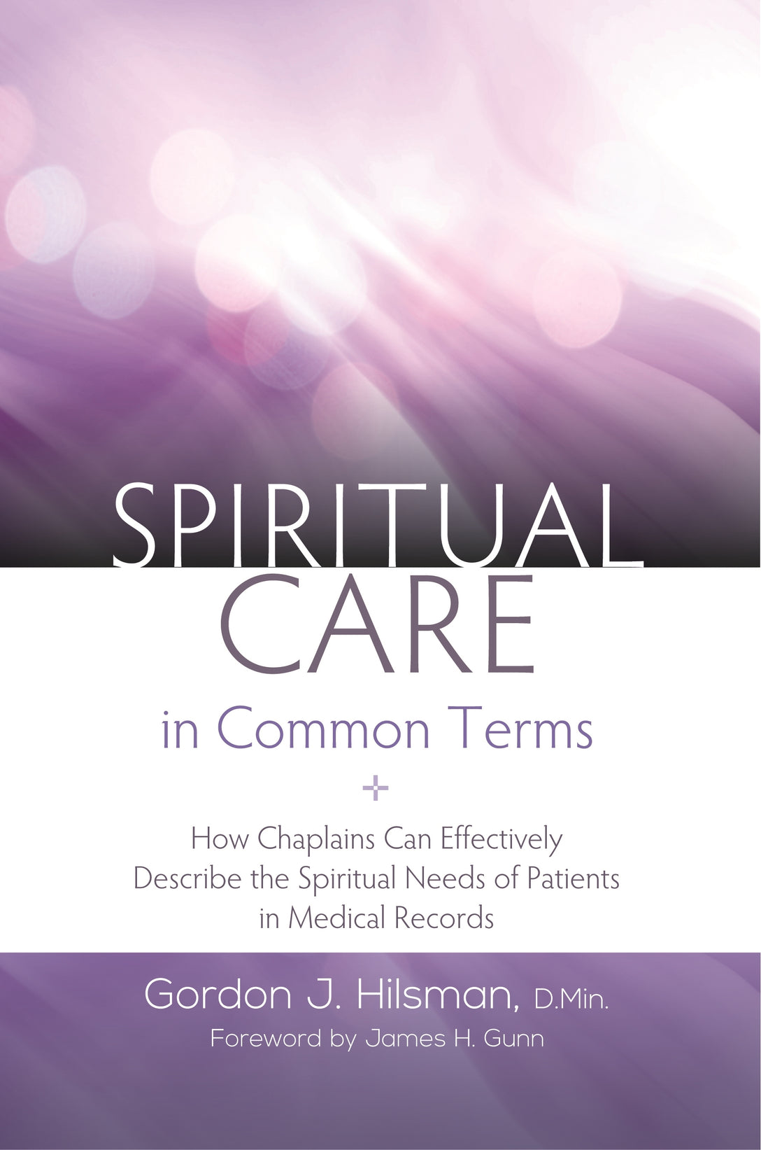 Spiritual Care in Common Terms by Gordon J. Hilsman, D.Min, James H. Gunn