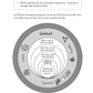 The DDP Guide to Healing Childhood Trauma