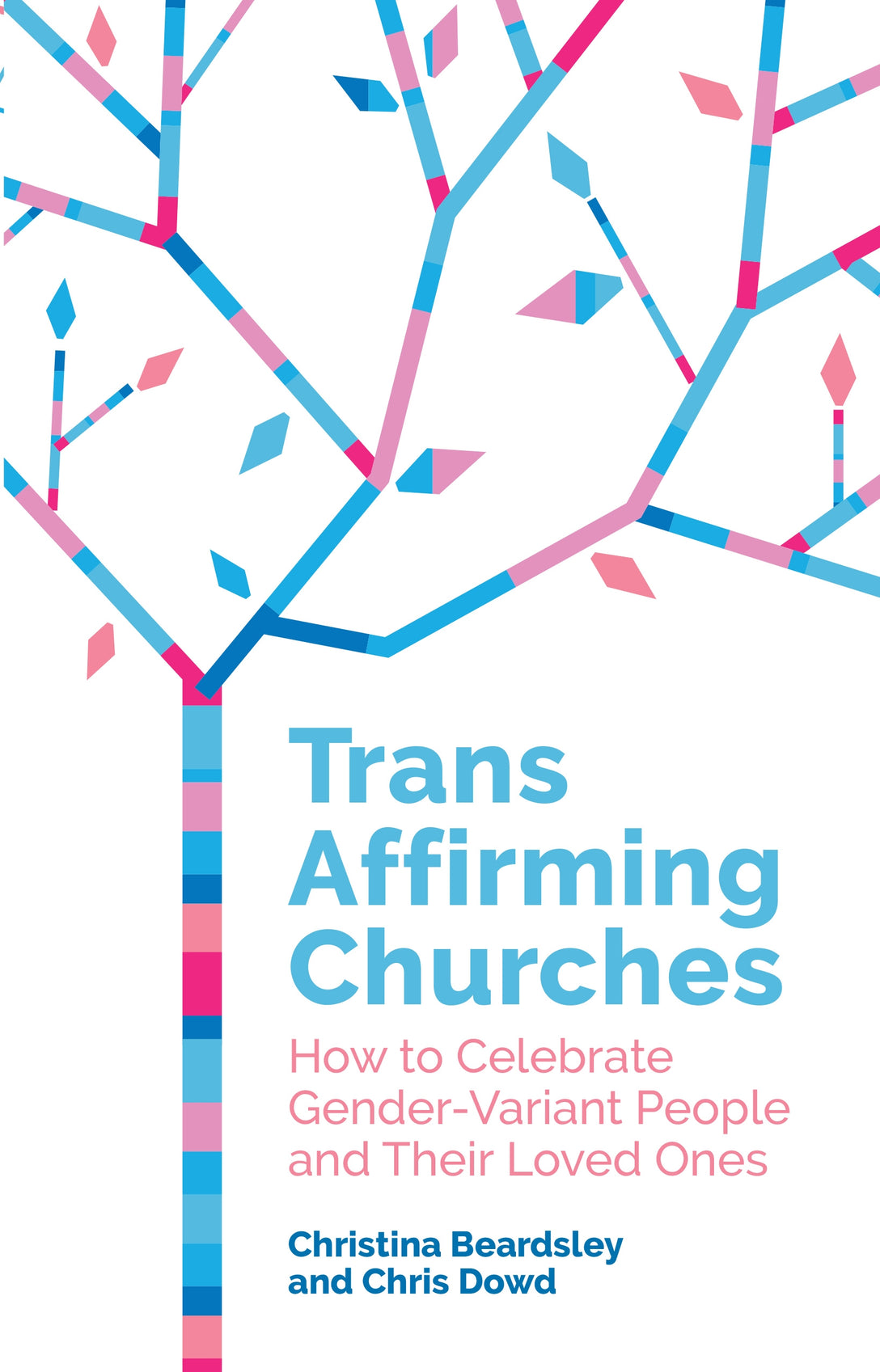 Trans Affirming Churches by Chris Dowd, Christina Beardsley, Dr Susannah Cornwall