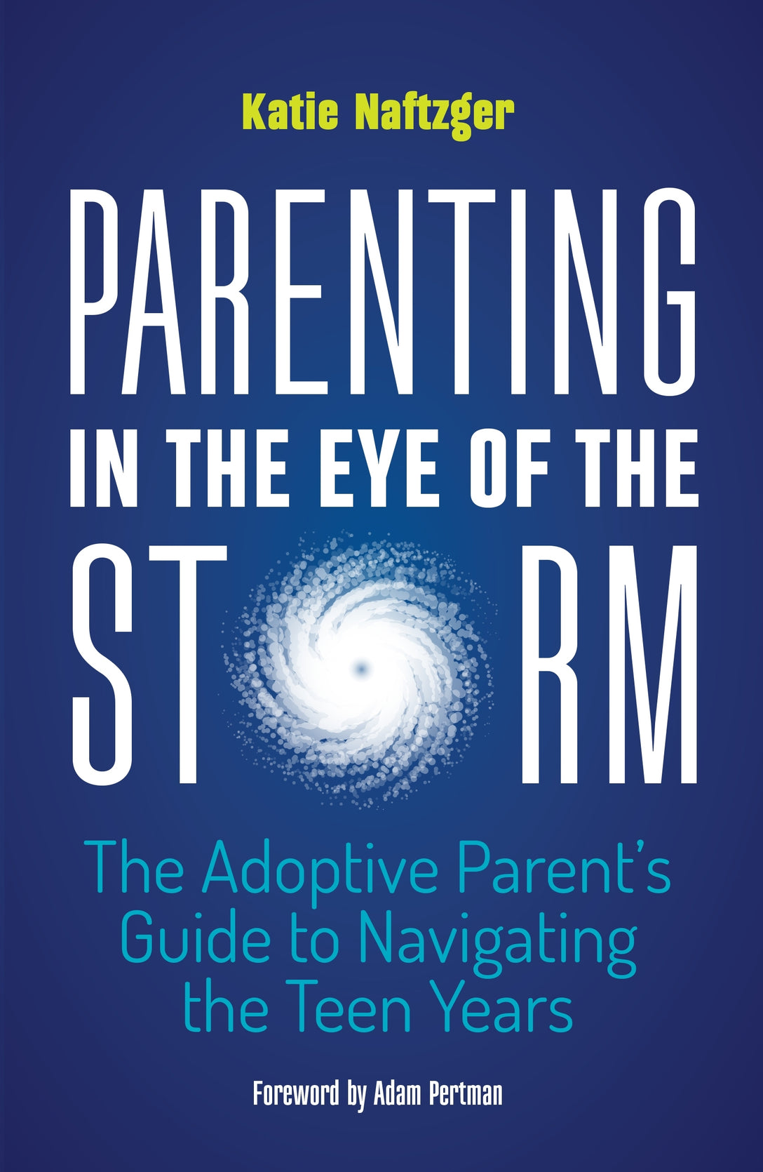 Parenting in the Eye of the Storm by Katie Naftzger, Adam Pertman