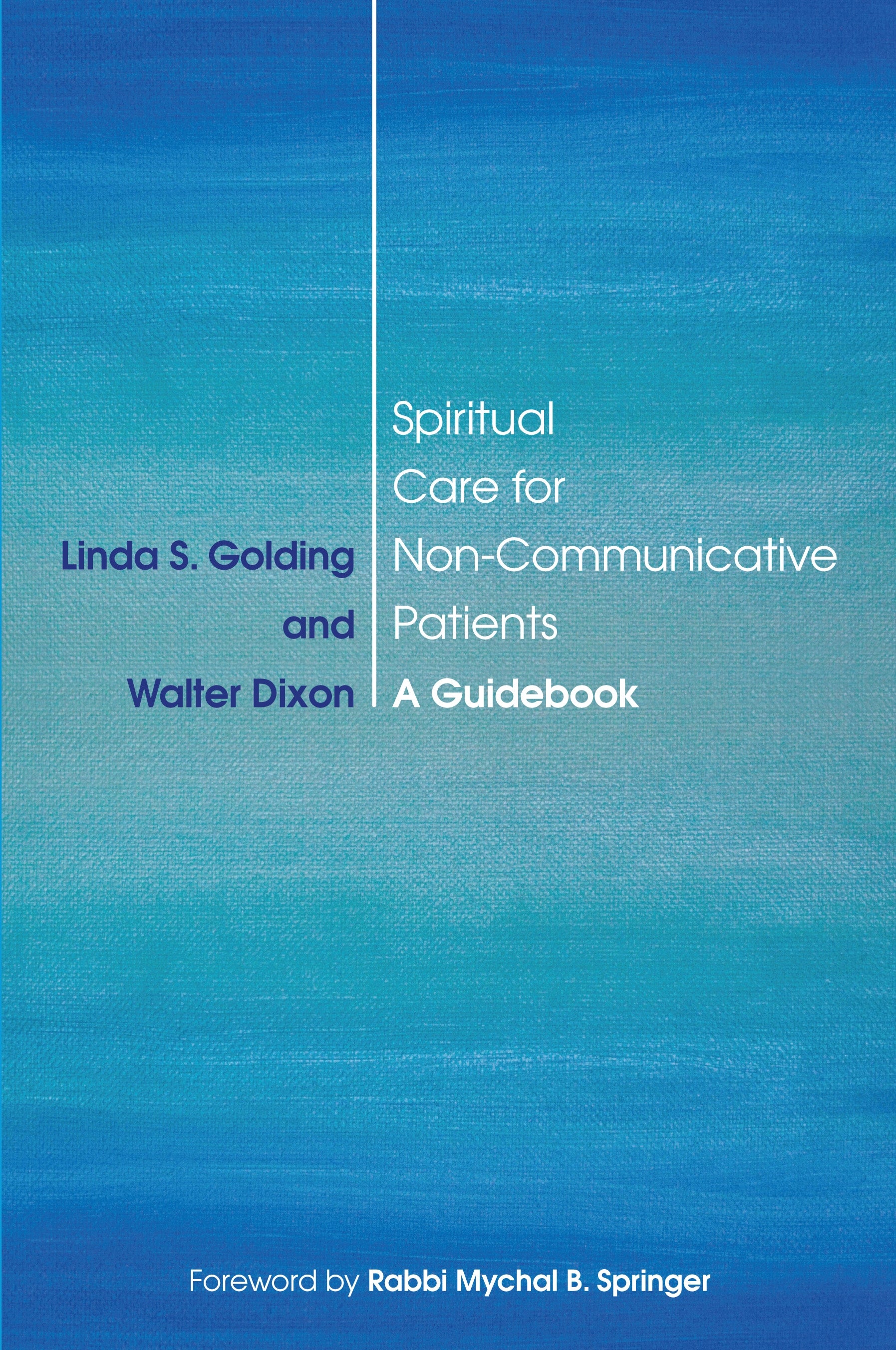 Spiritual Care for Non-Communicative Patients by Rabbi Mychal B. Springer, Walter Dixon, Linda S. Golding