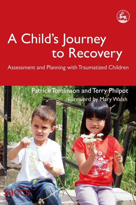 A Child's Journey to Recovery by Mary Walsh, Patrick Tomlinson, Terry Philpot