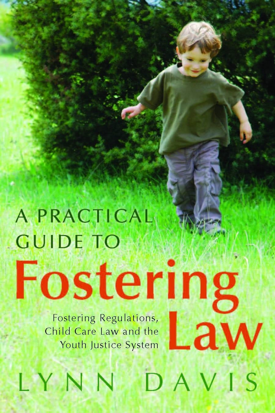 A Practical Guide to Fostering Law by Lynn Davis